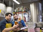 Info bière Trois meilleures bières sans alcool Australie Houblon