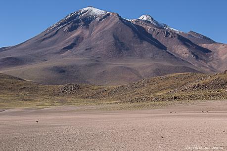 Lagunes altiplaniques Miscanti et Meniques du désert d’Atacama : go! Lagunes altiplaniques Miscanti et Meniques du désert d’Atacama : go!