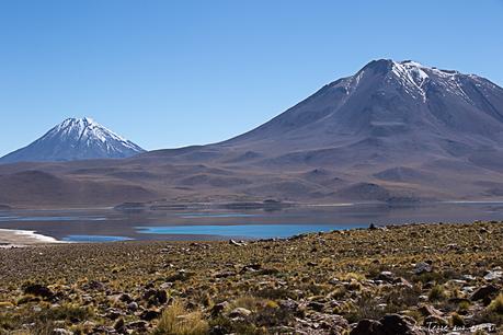 Lagunes altiplaniques Miscanti et Meniques du désert d’Atacama : go! Lagunes altiplaniques Miscanti et Meniques du désert d’Atacama : go!