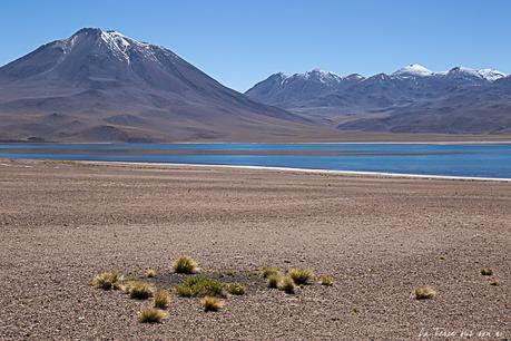 Lagunes altiplaniques Miscanti et Meniques du désert d’Atacama : go! Lagunes altiplaniques Miscanti et Meniques du désert d’Atacama : go!