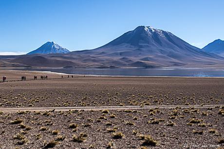 Lagunes altiplaniques Miscanti et Meniques du désert d’Atacama : go! Lagunes altiplaniques Miscanti et Meniques du désert d’Atacama : go!