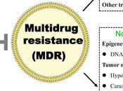 #trendsinfoodscienceandtechnology #thévert #épigallocatéchinegallate #résistance #médicaments Effets mécanismes l’épigallocatéchnine-3-gallate l’inversion résistance multiple médicaments