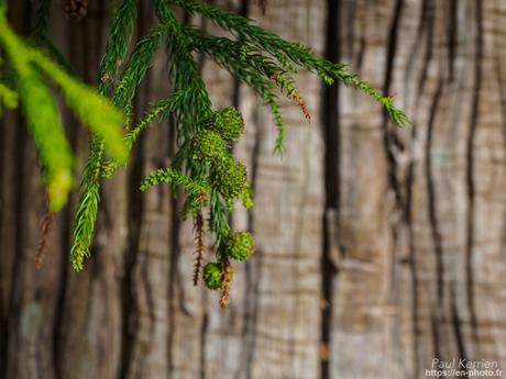 visite au #musée du Faouët #Bretagne #Morbihan #MadeInBzh visite au #musée du Faouët #Bretagne #Morbihan #MadeInBzh