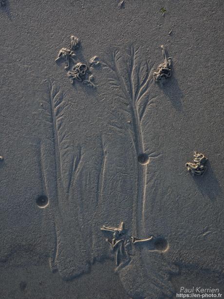 visite au #musée du Faouët #Bretagne #Morbihan #MadeInBzh visite au #musée du Faouët #Bretagne #Morbihan #MadeInBzh