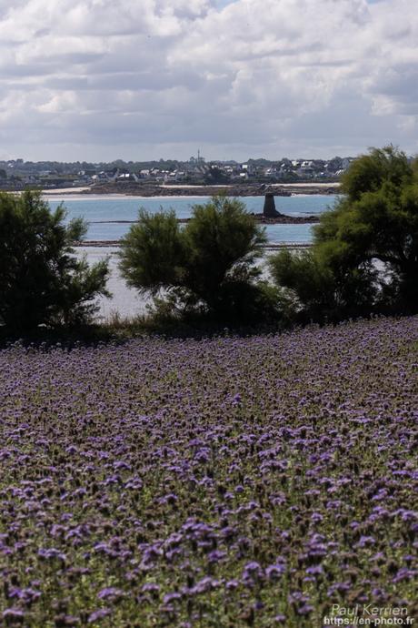 visite au #musée du Faouët #Bretagne #Morbihan #MadeInBzh visite au #musée du Faouët #Bretagne #Morbihan #MadeInBzh