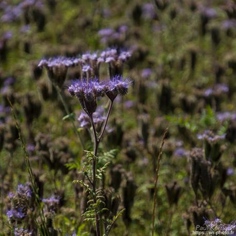 visite au #musée du Faouët #Bretagne #Morbihan #MadeInBzh visite au #musée du Faouët #Bretagne #Morbihan #MadeInBzh