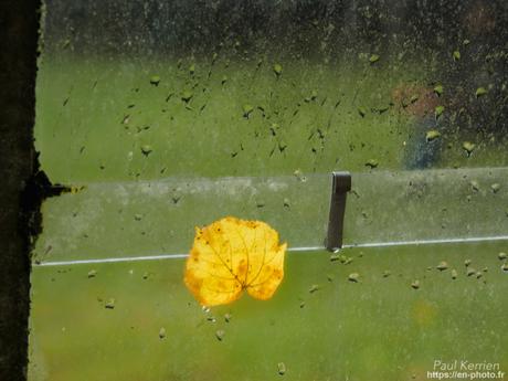 visite au #musée du Faouët #Bretagne #Morbihan #MadeInBzh visite au #musée du Faouët #Bretagne #Morbihan #MadeInBzh