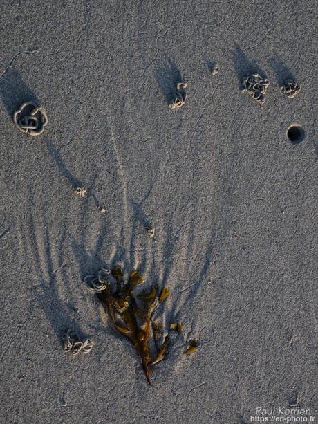 visite au #musée du Faouët #Bretagne #Morbihan #MadeInBzh visite au #musée du Faouët #Bretagne #Morbihan #MadeInBzh