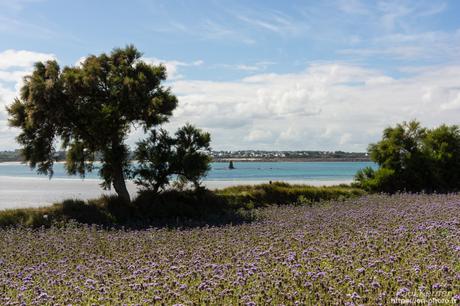 visite au #musée du Faouët #Bretagne #Morbihan #MadeInBzh