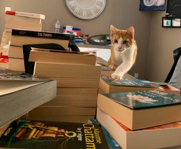 ABC… le nouveau rangement de ma bibliothèque « Littérature »