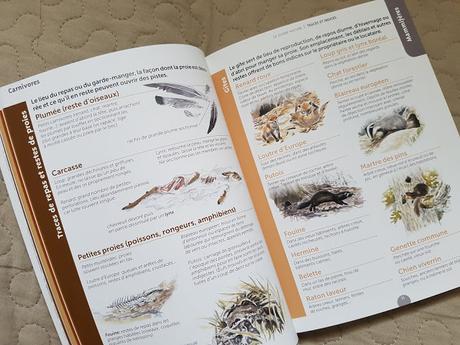 Nouveautés La Salamandre Rentrée 2019 : AGENDA de la nature au jardin 2020 - Le guide nature Traces et indices - Petite Salamandre HS Les p'tits as du cache-cache