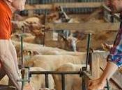 Critique terre récit personnel poignant