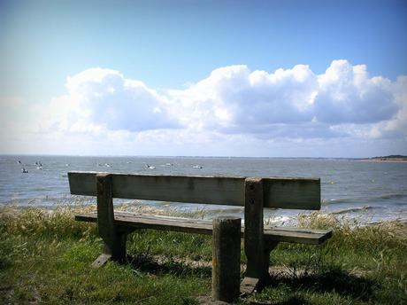 qu'est- ce que tu lis?