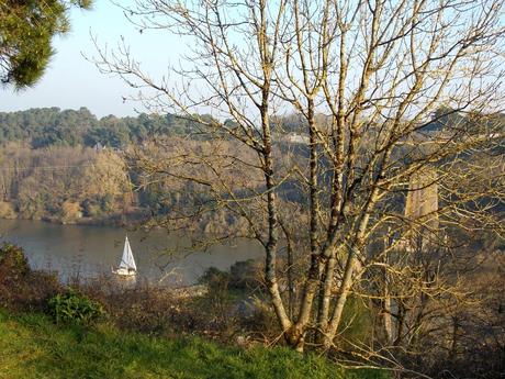 qu'est- ce que tu lis?