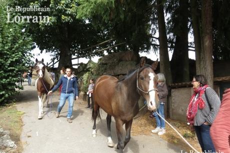 PLAINE-DE-WALSCH.- Le cheval était évidemment au centre de l'attention au Ranch du Stoss, spécialisé dans les promenades équestres. Photo RL