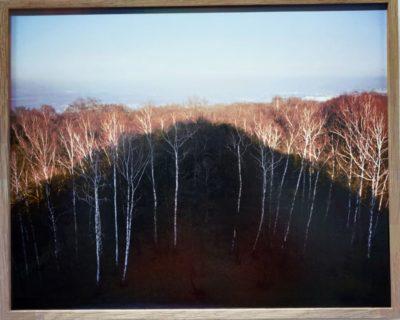 Focus sur la Pologne