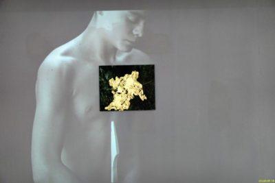 Focus sur la Pologne