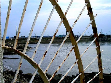 les abeilles de l'Univers