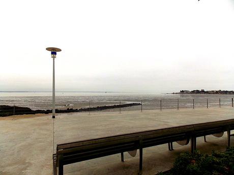 les abeilles de l'Univers