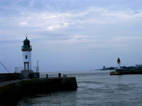 les abeilles de l'Univers