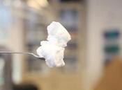 CICATRISATION nanocellulose pour pansements intelligents