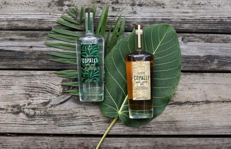 Rhum Copalli, le rhum local et Bio élu « Meilleur White Rum de l’année 2019 »