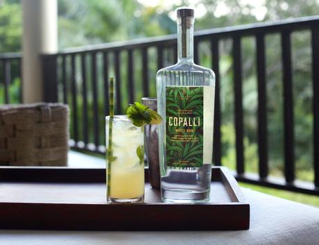 Rhum Copalli, le rhum local et Bio élu « Meilleur White Rum de l’année 2019 »