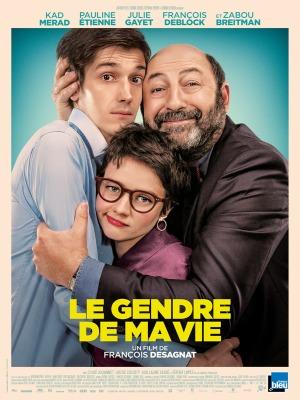 Le Gendre de ma Vie (2018) de François Desagnat