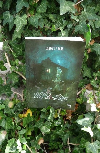 LITTERATURE DE L'IMAGINAIRE