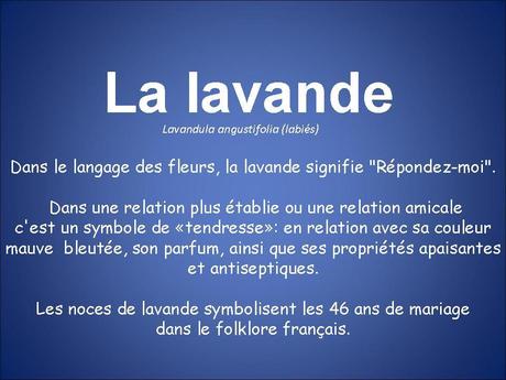 La France - La Lavande