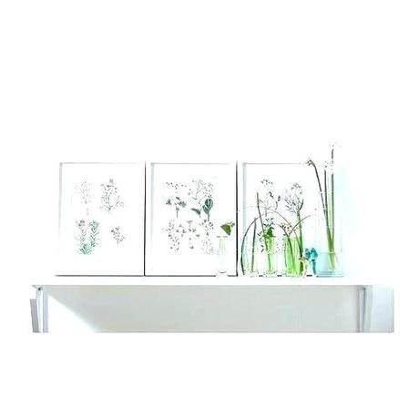 30 x 40 hornady 30 40 krag brass