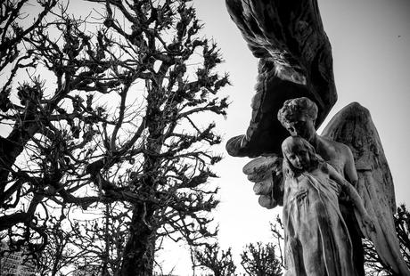 Cinema Paradiso**********************Les Ailes du Désir de Wim Wenders