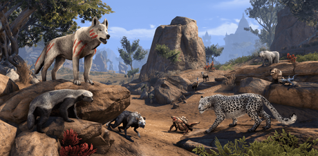 Avec #SlayDragonsSaveCats Bethesda fait un geste pour les animaux domestiques