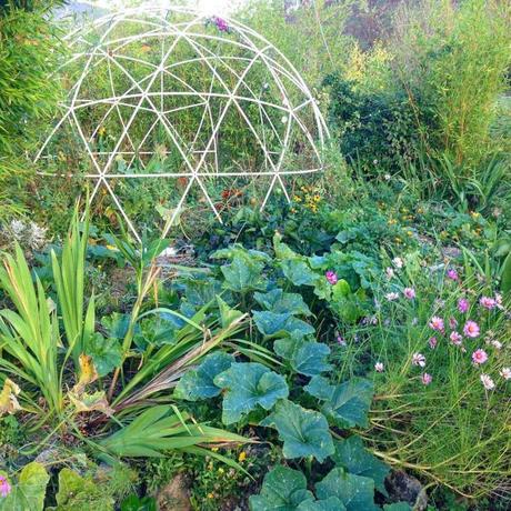 jardin potager serre bulle de jardin résistante tendance couverture transparente déco tendance - clemaroundthecorner