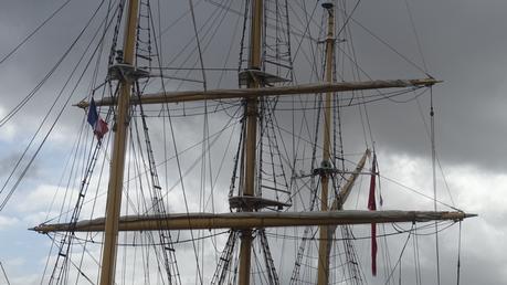 Un bel oiseau au ponton d’honneur