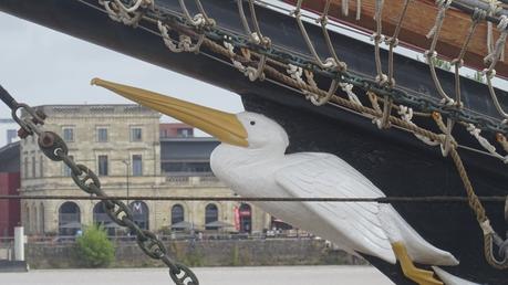 Un bel oiseau au ponton d’honneur