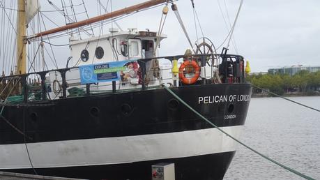 Un bel oiseau au ponton d’honneur