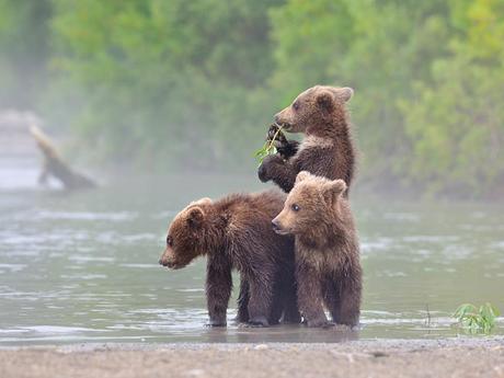 Pays Etranger - L'Extrême Orient-Russe