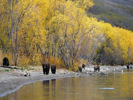 Pays Etranger - L'Extrême Orient-Russe