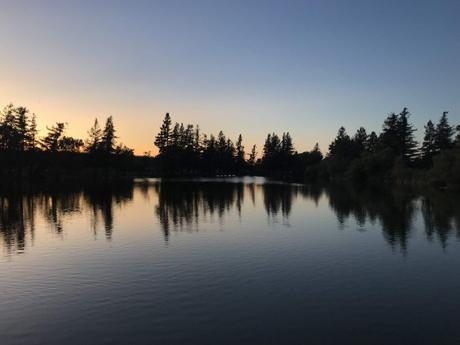 roberts lake rohnert park 700x525 - La meilleure bière artisanale à Rohnert Park, Californie