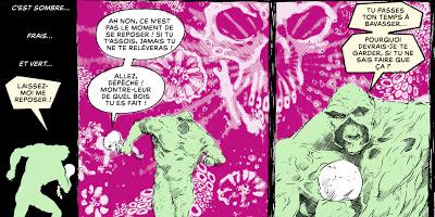 SWAMP THING PAR ALAN MOORE - TOME 1