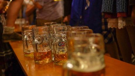 Craft beer – La bière contient 6,2% d'alcool et 7 autres choses que j'ai apprises à la dure à la fête de la bière
 – Houblon