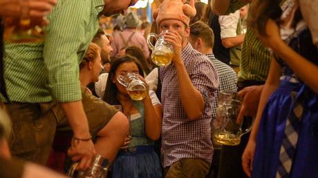 Craft beer – La bière contient 6,2% d'alcool et 7 autres choses que j'ai apprises à la dure à la fête de la bière
 – Houblon