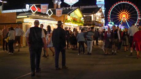 Craft beer – La bière contient 6,2% d'alcool et 7 autres choses que j'ai apprises à la dure à la fête de la bière
 – Houblon