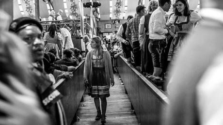 Craft beer – La bière contient 6,2% d'alcool et 7 autres choses que j'ai apprises à la dure à la fête de la bière
 – Houblon