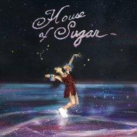 (Sandy) Alex G ‘ House Of Sugar