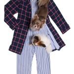 Maison Marcy : Deluxe pyjamas for Gentlemen & Ladies