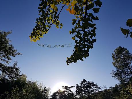 Vigilance (7)