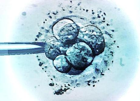 Bioéthique 2019 (2) : attention, les embryons humains ne sont pas que des