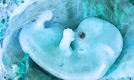 Bioéthique 2019 (2) : attention, les embryons humains ne sont pas que des